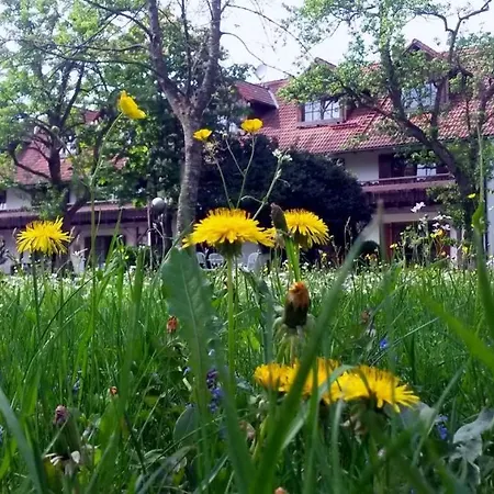Pension Aufeld * Landsberg am Lech